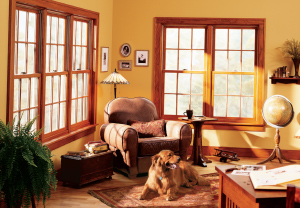 Double Hung Windows with Grilles