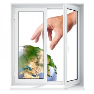 window ecology